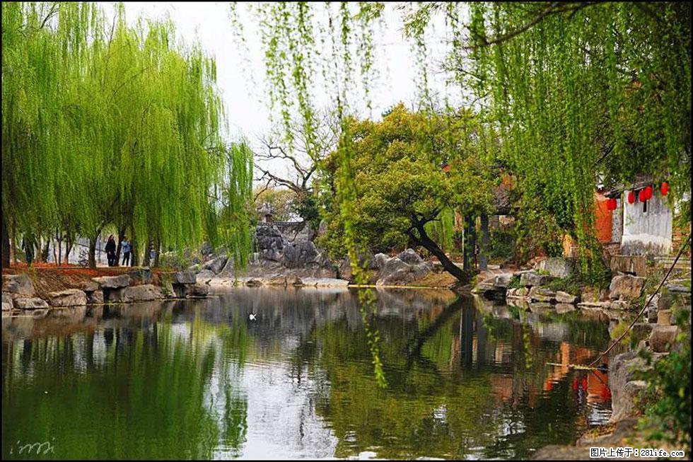 【春天,广西桂林灌阳县向您发出邀请!】江口老街又逢春 - 游山玩水 - 安庆生活社区 - 安庆28生活网 anqing.28life.com