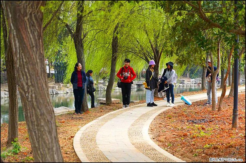 【春天,广西桂林灌阳县向您发出邀请!】江口老街又逢春 - 游山玩水 - 安庆生活社区 - 安庆28生活网 anqing.28life.com
