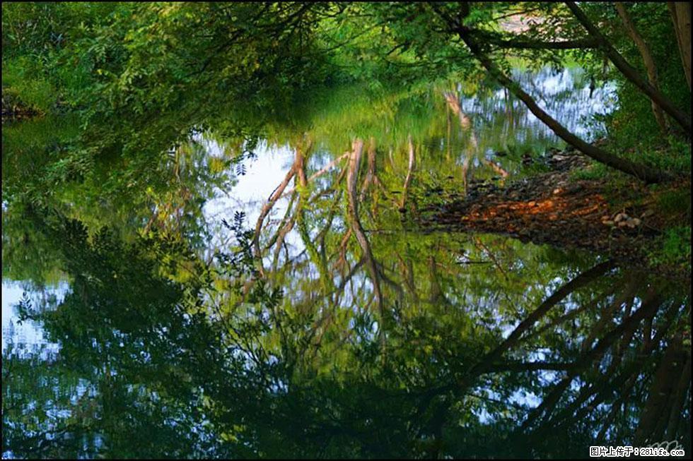 【春天,广西桂林灌阳县向您发出邀请!】熊家寨湿地公园 - 游山玩水 - 安庆生活社区 - 安庆28生活网 anqing.28life.com