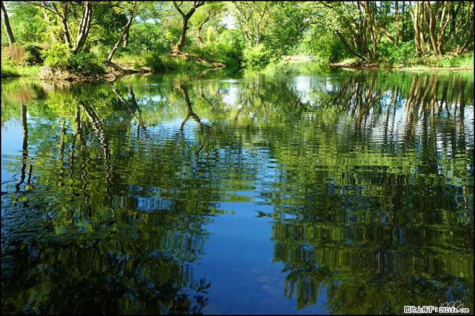【春天,广西桂林灌阳县向您发出邀请!】熊家寨湿地公园 - 游山玩水 - 安庆生活社区 - 安庆28生活网 anqing.28life.com