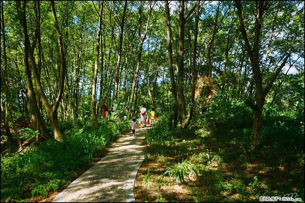 【春天,广西桂林灌阳县向您发出邀请!】熊家寨湿地公园 - 游山玩水 - 安庆生活社区 - 安庆28生活网 anqing.28life.com