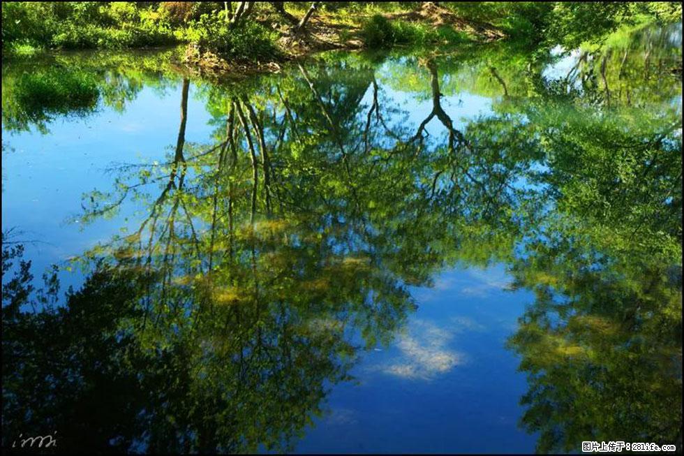 【春天,广西桂林灌阳县向您发出邀请!】熊家寨湿地公园 - 游山玩水 - 安庆生活社区 - 安庆28生活网 anqing.28life.com