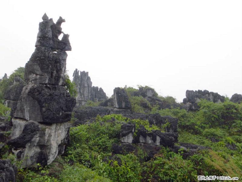 桂林旅游名城景点:灌阳文市石林 - 游山玩水 - 安庆生活社区 - 安庆28生活网 anqing.28life.com