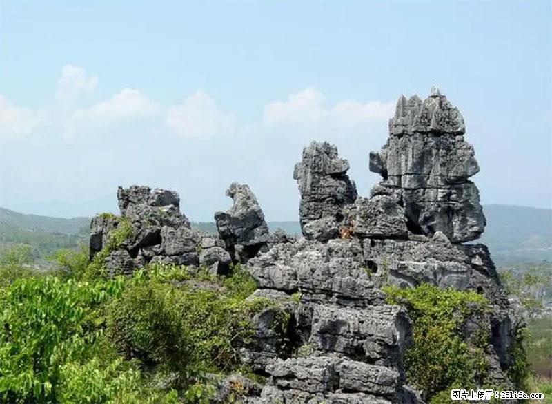 桂林旅游名城景点:灌阳文市石林 - 游山玩水 - 安庆生活社区 - 安庆28生活网 anqing.28life.com