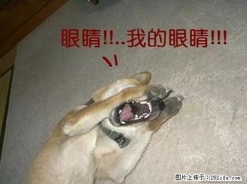笑癫了!一女的怀孕三年未生,他终于忍不住了... - 娱乐八卦 - 安庆生活社区 - 安庆28生活网 anqing.28life.com