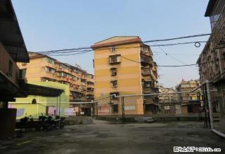 大观商城二期 玉琳路 精装修 家具家电齐全 拎包入住 - 安庆28生活网 anqing.28life.com