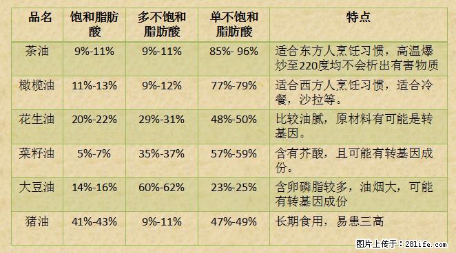 揭秘茶油的5大核心营养成分!被称为人体健康的“守护盾”! - 安庆生活资讯 - 安庆28生活网 anqing.28life.com