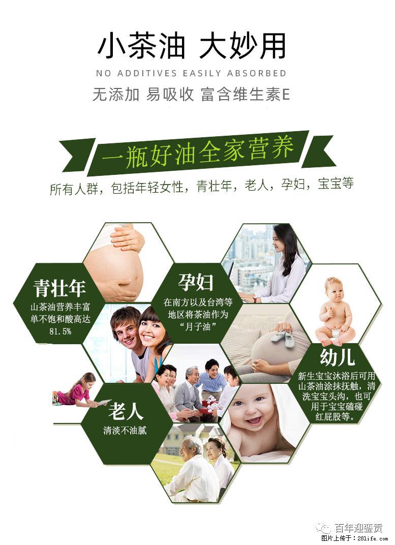 世界没有真相,只有认知,最好的食用油是中国的山茶油! - 安庆生活资讯 - 安庆28生活网 anqing.28life.com