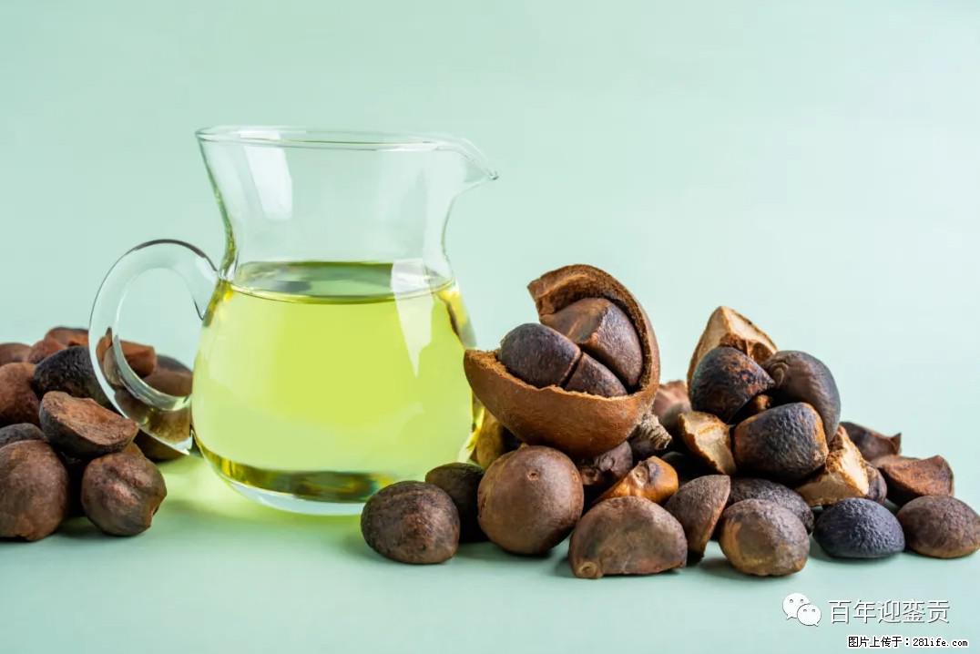 世界没有真相，只有认知，最好的食用油是中国的山茶油！ - 安庆生活资讯 - 安庆28生活网 anqing.28life.com