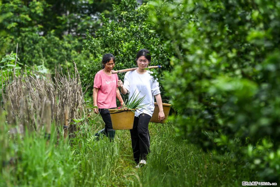 全网追的“扁担女孩”，找了一份暑假工，时薪12元 - 安庆生活资讯 - 安庆28生活网 anqing.28life.com