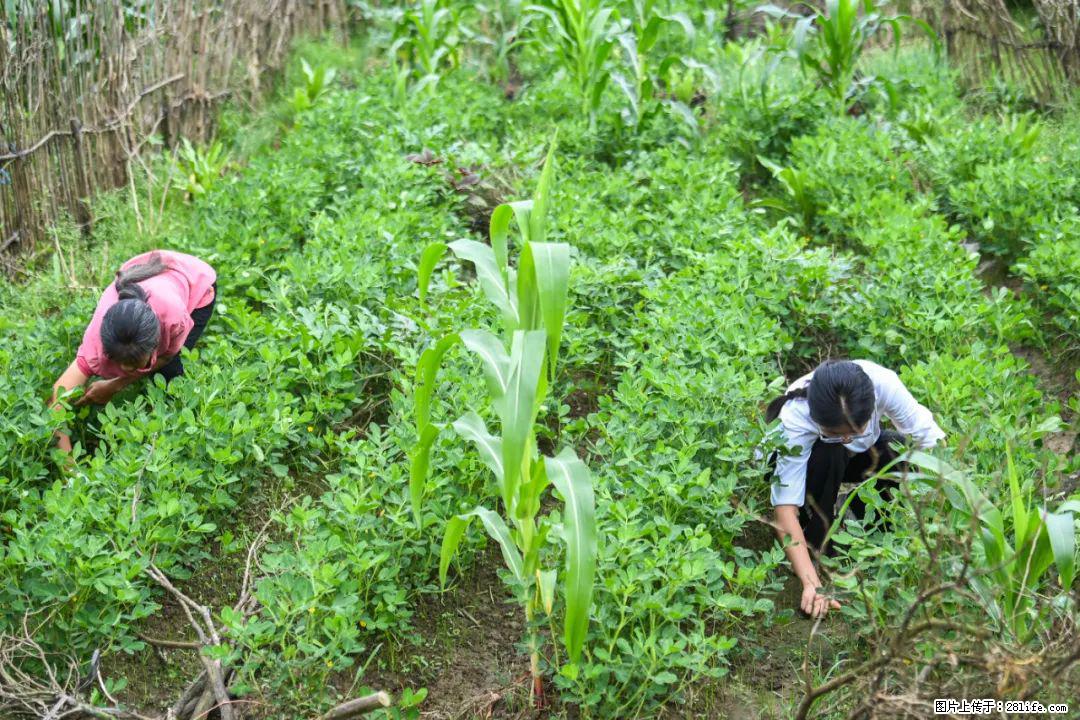 全网追的“扁担女孩”，找了一份暑假工，时薪12元 - 安庆生活资讯 - 安庆28生活网 anqing.28life.com