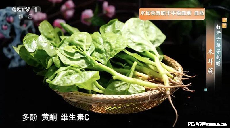 比牛奶补钙还厉害！凉血解毒、稳血糖...这菜冬天必吃，很多人却当草 - 安庆生活资讯 - 安庆28生活网 anqing.28life.com