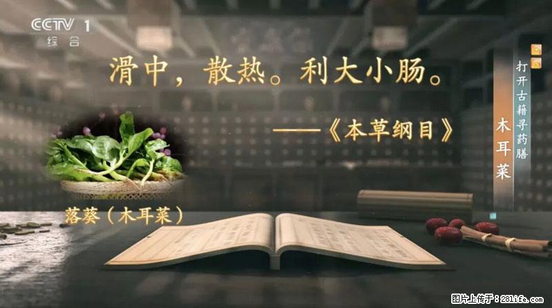 比牛奶补钙还厉害！凉血解毒、稳血糖...这菜冬天必吃，很多人却当草 - 安庆生活资讯 - 安庆28生活网 anqing.28life.com