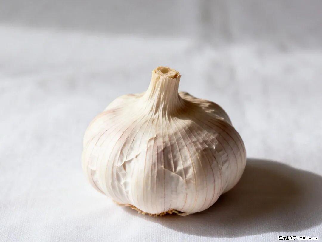 关于大蒜，除了“天然抗生素”，这4个谣言更该警惕! - 安庆生活资讯 - 安庆28生活网 anqing.28life.com