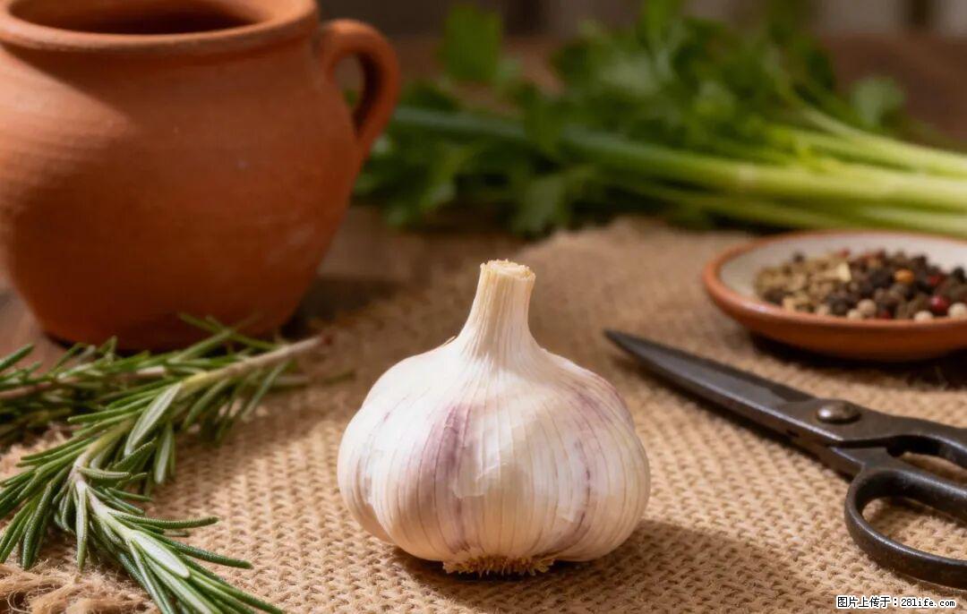 关于大蒜，除了“天然抗生素”，这4个谣言更该警惕! - 安庆生活资讯 - 安庆28生活网 anqing.28life.com